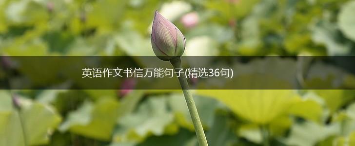 英语作文书信万能句子(精选36句),第1张