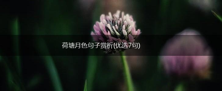 荷塘月色句子赏析(优选7句),第1张