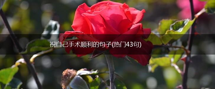 祝自己手术顺利的句子(热门43句),第1张