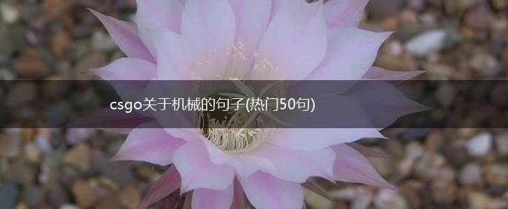 csgo关于机械的句子(热门50句),第1张