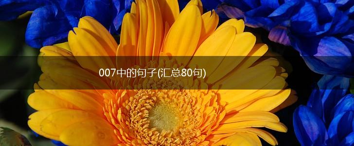 007中的句子(汇总80句),第1张