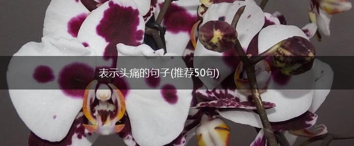 表示头痛的句子(推荐50句),第1张
