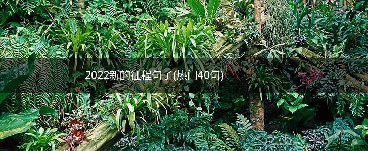 2022新的征程句子(热门40句),第1张