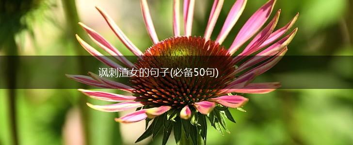 讽刺渣女的句子(必备50句),第1张