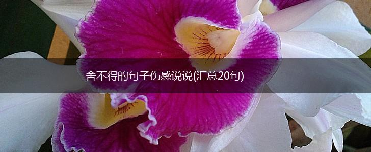 舍不得的句子伤感说说(汇总20句),第1张