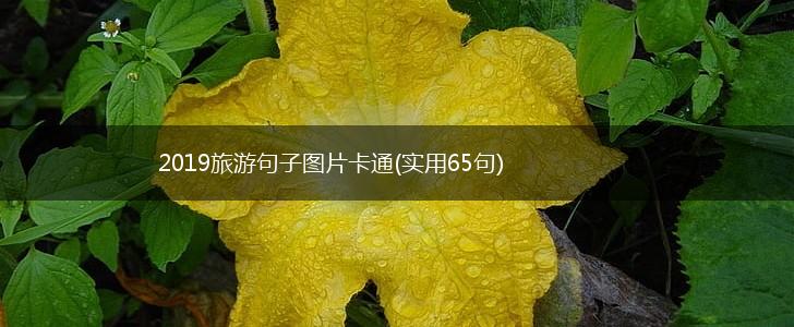 2019旅游句子图片卡通(实用65句),第1张