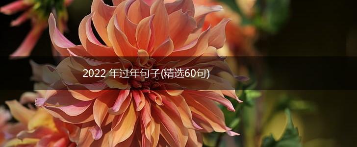 2022 年过年句子(精选60句),第1张