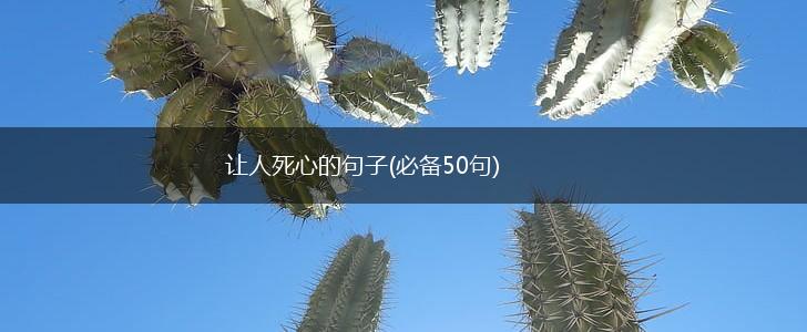 让人死心的句子(必备50句),第1张