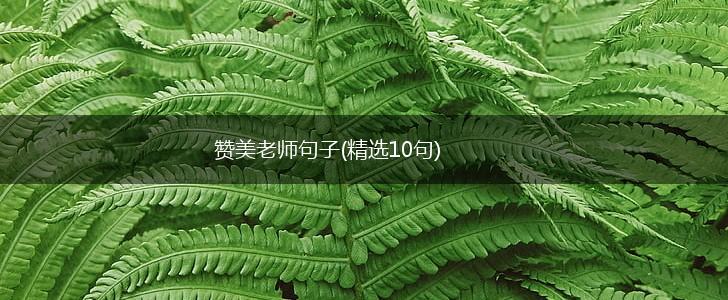 赞美老师句子(精选10句),第1张