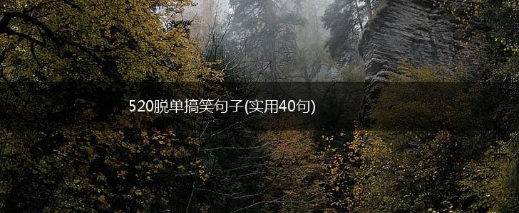 520脱单搞笑句子(实用40句),第1张