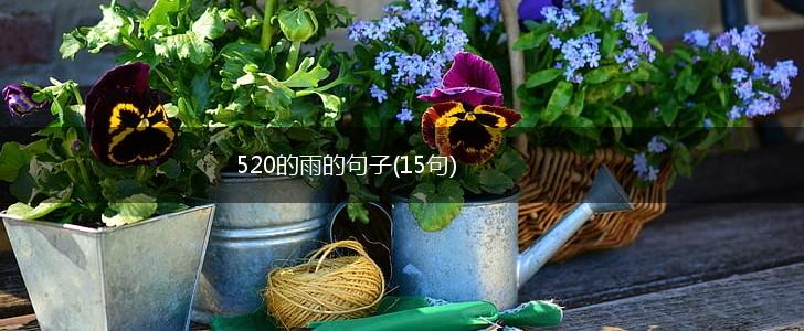 520的雨的句子(15句),第1张