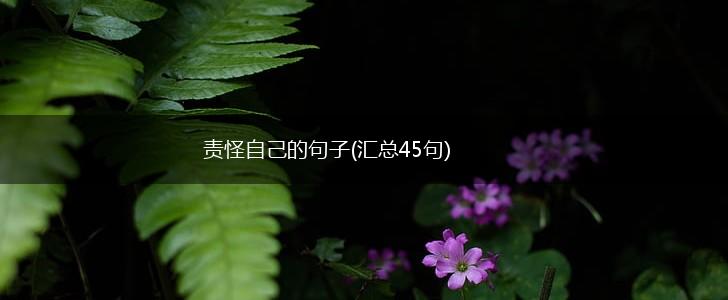 责怪自己的句子(汇总45句),第1张