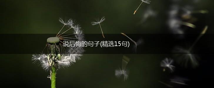 说后悔的句子(精选15句),第1张