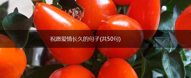 祝愿爱情长久的句子(共50句),第1张