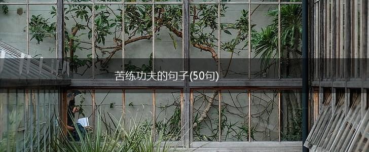 苦练功夫的句子(50句),第1张