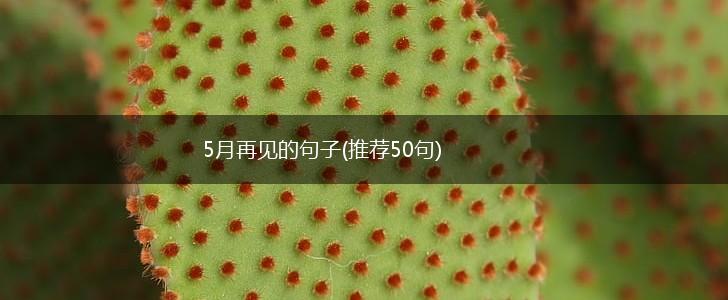 5月再见的句子(推荐50句),第1张