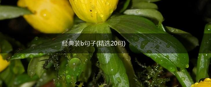 经典装b句子(精选20句),第1张