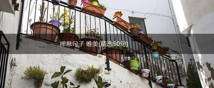 禅意句子 唯美(精选50句),第1张