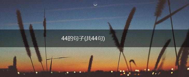 44的句子(共44句),第1张