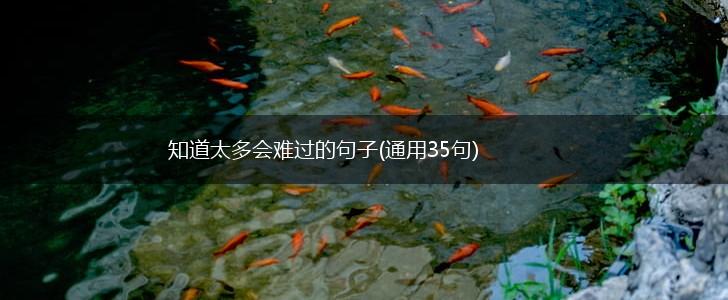 知道太多会难过的句子(通用35句),第1张