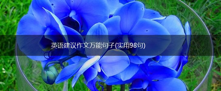 英语建议作文万能句子(实用98句),第1张