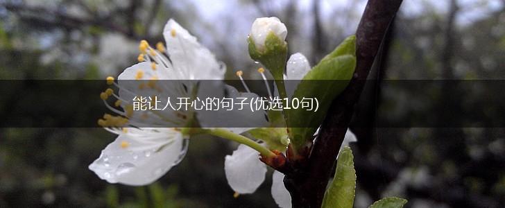 能让人开心的句子(优选10句),第1张