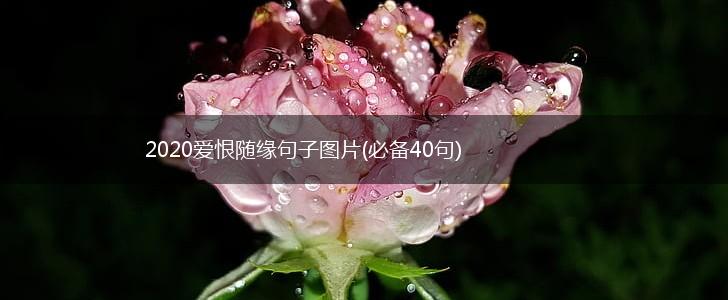 2020爱恨随缘句子图片(必备40句),第1张