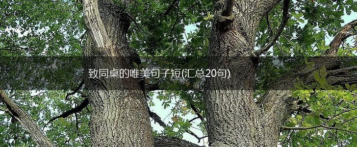 致同桌的唯美句子短(汇总20句),第1张