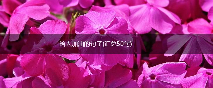 给人加油的句子(汇总50句),第1张