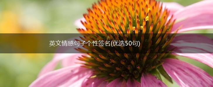 英文情感句子个性签名(优选50句),第1张