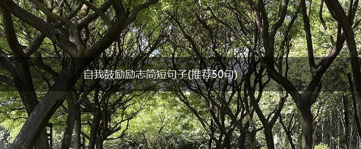 自我鼓励励志简短句子(推荐50句),第1张