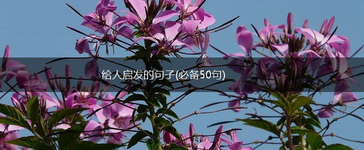 给人启发的句子(必备50句),第1张