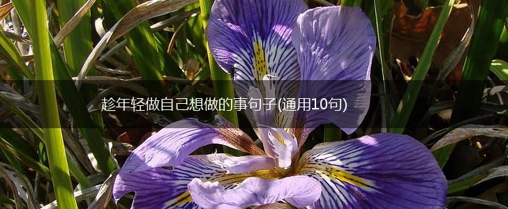 趁年轻做自己想做的事句子(通用10句),第1张