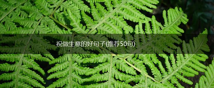 祝做生意的好句子(推荐50句),第1张