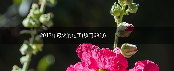2017年最火的句子(热门69句),第1张