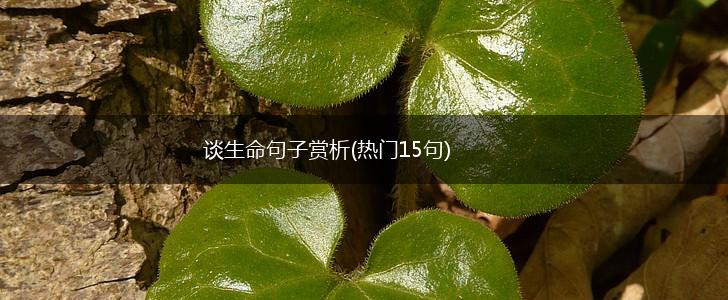谈生命句子赏析(热门15句),第1张