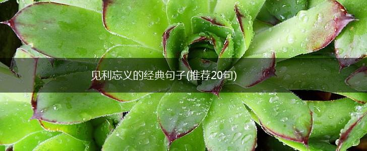 见利忘义的经典句子(推荐20句),第1张