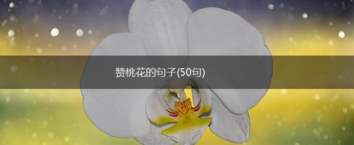 赞桃花的句子(50句),第1张