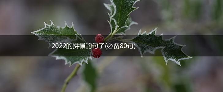 2022的拼搏的句子(必备80句),第1张
