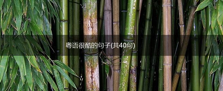 粤语很酷的句子(共40句),第1张