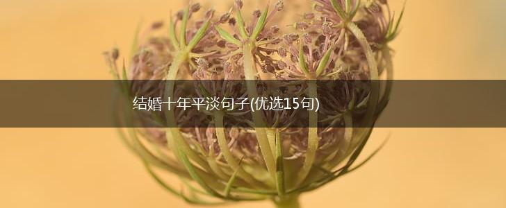 结婚十年平淡句子(优选15句),第1张