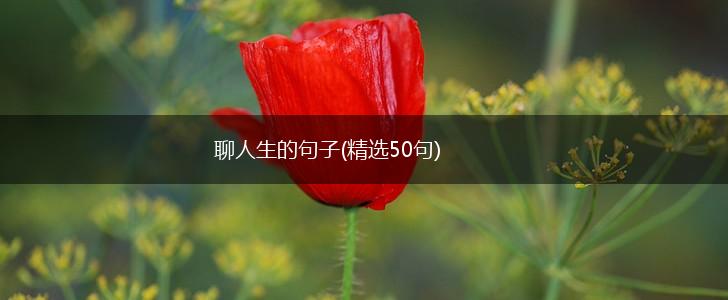 聊人生的句子(精选50句),第1张