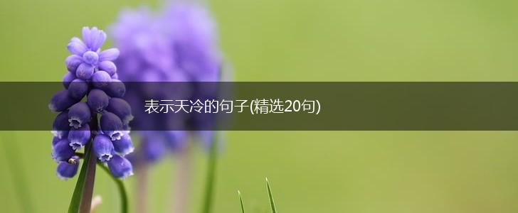 表示天冷的句子(精选20句),第1张