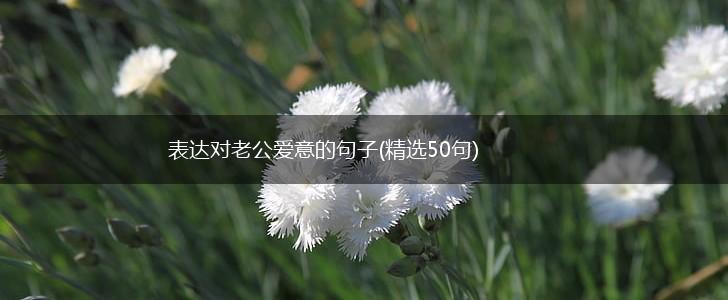 表达对老公爱意的句子(精选50句),第1张