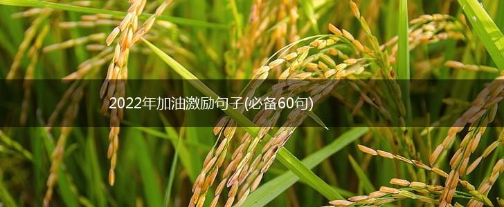 2022年加油激励句子(必备60句),第1张