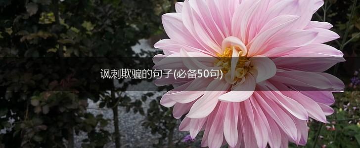 讽刺欺骗的句子(必备50句),第1张
