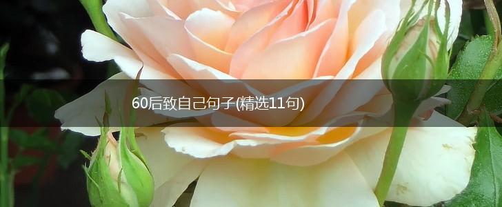 60后致自己句子(精选11句),第1张