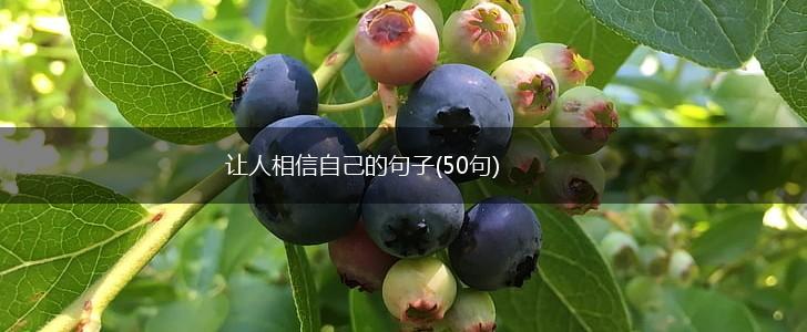 让人相信自己的句子(50句),第1张