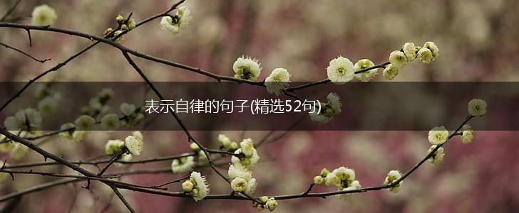 表示自律的句子(精选52句),第1张