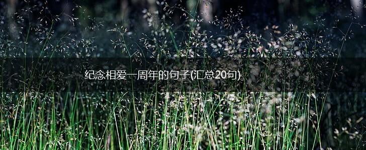 纪念相爱一周年的句子(汇总20句),第1张